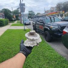 Wasp-and-Bee-Hive-Removal-in-Haledon-NJ 1